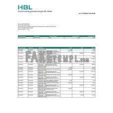 Pakistan HBL fake bank statement Word and PDF template