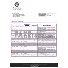 Pakistan Meezan fake bank statement Word and PDF template