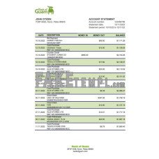 Palau Bank of Guam fake bank statement Excel and PDF template