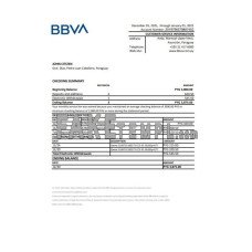 Paraguay BBVA fake bank statement Excel and PDF template