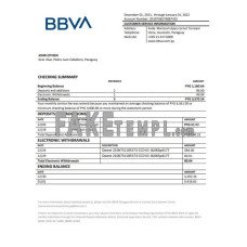 Paraguay BBVA fake bank statement Word and PDF template