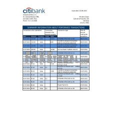 Peru Citibank fake bank statement Excel and PDF template