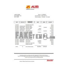 Philippines Asia United (AUB) account fake bank statement Excel and PDF template