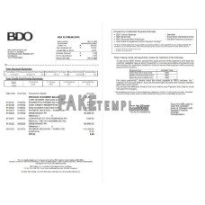 Philippines BDO fake bank statement Word and PDF template, 2 pages