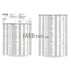 Philippines PNB fake bank statement Excel and PDF template (4 pages)