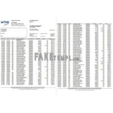 Philippines PNB fake bank statement Word and PDF template(4 pages)