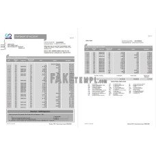 Philippines UCPB fake bank statement Word and PDF template