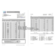 Philippines UCPB fake bank statement Excel and PDF template