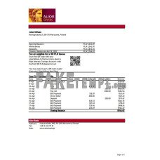 Poland Alior fake bank statement Excel and PDF template