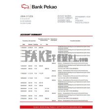 Poland Bank Pekao S.A. fake bank statement Excel and PDF template