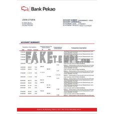 Poland Bank Pekao S.A fake bank statement Word and PDF template