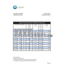 Qatar Islamic fake bank statement Excel and PDF template