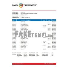 Romania Banca Transilvania fake bank statement Excel and PDF template