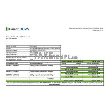 Romania Garanti BBVA fake bank statement Excel and PDF template