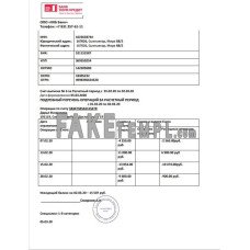 Russia Home Credit fake bank statement Word and PDF template