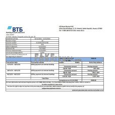 Russia VTB fake bank statement Excel and PDF template