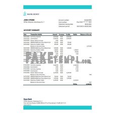 Russia Zenit fake bank statement Excel and PDF template