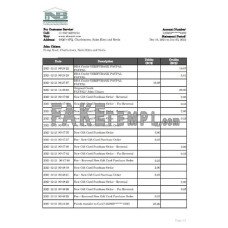 Saint Kitts and Nevis SKNA fake bank statement Excel and PDF template