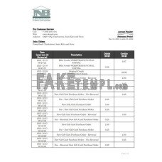 Saint Kitts and Nevis SKNA fake bank statement Word and PDF template