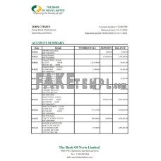 Saint Kitts and Nevis The Bank of Nevis fake bank statement Excel and PDF template