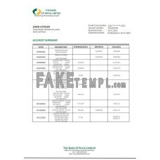 Saint Kitts and Nevis The Bank of Nevis fake bank statement Word and PDF template