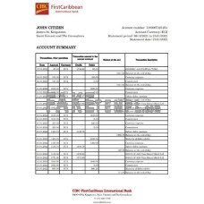 Saint Vincent and The Grenadines First Caribbean International fake bank statement Excel and PDF template, version 2