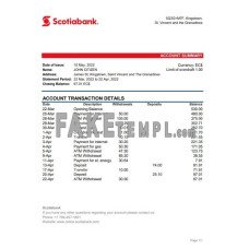 Saint Vincent and The Grenadines Scotiabank fake bank statement Excel and PDF template