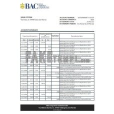 San Marino Banca Agricole Commerciale fake bank statement Excel and PDF template