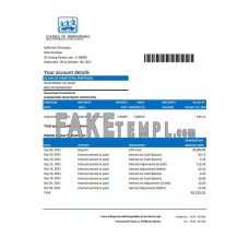 San Marino Cassa di Risparmio fake bank statement Excel and PDF template