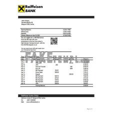 Serbia Raiffeisen fake bank statement Word and PDF template