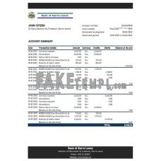 Sierra Leone Bank of Sierra Leone fake bank statement Excel and PDF template