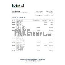 Sierra Leone National Development fake bank statement Excel and PDF template