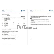 Singapore DBS fake bank statement Excel and PDF template (2 pages)