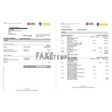 Singapore DBS fake bank statement Excel and PDF template, 4 pages