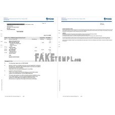 Singapore DBS fake bank statement Word and PDF template, 2 pages