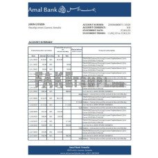 Somalia Amal fake bank statement Excel and PDF template