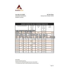 Somalia Amana fake bank statement Excel and PDF template