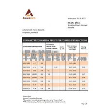 Somalia Amana fake bank statement Word and PDF template