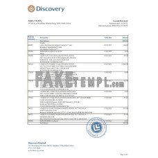 South Africa Discovery fake bank statement Excel and PDF template