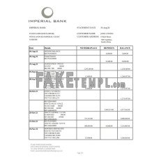 South Africa Imperial fake bank statement Excel and PDF template