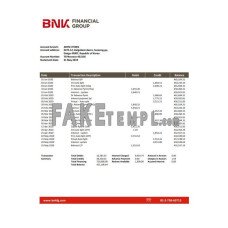 South Korea BNK fake bank statement Word and PDF template