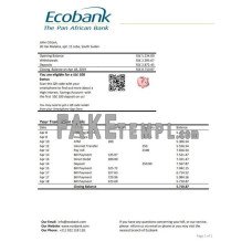 South Sudan Ecobank fake bank statement Word and PDF template