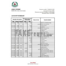 South Sudan Ivory fake bank statement Excel and PDF template