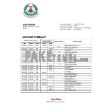 South Sudan Ivory fake bank statement Word and PDF template