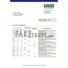 Sri Lanka Hatton National fake bank statement Word and PDF template