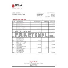 Sri Lanka Seylan fake bank statement Excel and PDF template