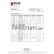 Sri Lanka Seylan fake bank statement Word and PDF template, version 2