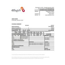 Syria Al Baraka fake bank statement Excel and PDF template