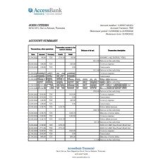 Tanzania Access fake bank statement Excel and PDF template