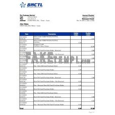 Timor-Leste BNCTL fake bank statement Excel and PDF template